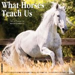 Willow Creek Press - What Horses Teach Us 2026 12 X 12 Wall Calendar