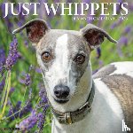 Willow Creek Press - Whippets 2026 Wall Calendar
