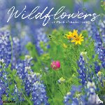 Willow Creek Press - Wildflowers 2026 12 X 12 Wall Calendar
