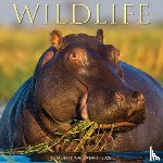 Willow Creek Press - Wildlife 2026 Wall Calendar