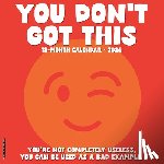 Willow Creek Press - You Don't Got This 2026 12 X 12 Wall Calendar