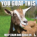 Willow Creek Press - You Goat This 2026 12 X 12 Wall Calendar