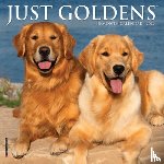 Willow Creek Press - Just Goldens 2026 Mini Wall Calendar