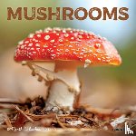Willow Creek Press - Mushrooms 2026 Mini Wall Calendar