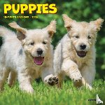 Willow Creek Press - Puppies Mini Wall Calendar