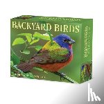 Willow Creek Press - Backyard Birds 2026 5.4 X 6.2 Box Calendar