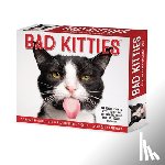 Willow Creek Press - Bad Kitties 2026 Box Calendar