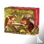 Weggen, Geert - Gettin' Squirrelly 2026 5.4 X 6.2 Box Calendar