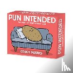 Willow Creek Press - Pun Intended 2026 5.4 X 6.2 Box Calendar