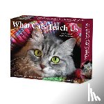 Willow Creek Press - What Cats Teach Us 2026 5.4 X 6.2 Box Calendar