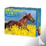 Willow Creek Press - What Horses Teach Us 2026 5.4 X 6.2 Box Calendar