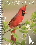 Willow Creek Press - Backyard Birds 2026 Engagement Calendar