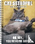 Willow Creek Press - Cat-Astrophe 2026 6.5 X 8.5 Engagement Calendar