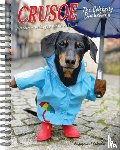 Beauchesne, Ryan - Crusoe the Celebrity Dachshund 2026 6.5 X 8.5 Engagement Calendar