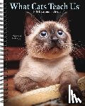 Willow Creek Press - What Cats Teach Us 2026 6.5 X 8.5 Engagement Calendar