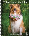 Willow Creek Press - What Dogs Teach Us 2026 6.5 X 8.5 Engagement Calendar