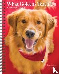 Willow Creek Press - What Goldens Teach Us 2026 6.5 X 8.5 Engagement Calendar