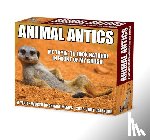 Willow Creek Press - Animal Antics 2026 5.4 X 6.2 Box Calendar