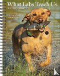Willow Creek Press - What Labs Teach Us 2026 Engagement Calendar