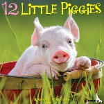 Willow Creek Press - 12 Little Piggies 2026 12 X 12 Wall Calendar
