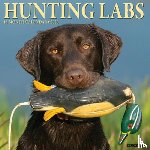 Willow Creek Press - Hunting Labs 2026 12 X 12 Wall Calendar