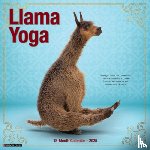 Willow Creek Press - Llama Yoga 2026 Wall Calendar