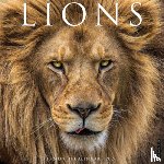 Willow Creek Press - Lions 2026 Wall Calendar