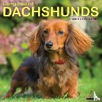 Willow Creek Press - Longhaired Dachshunds 2026 Wall Calendar