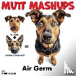 Baldwin - Mutt Mashups 2026 12 X 12 Wall Calendar