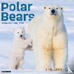 Willow Creek Press - Polar Bears 2026 Wall Calendar