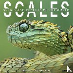 Willow Creek Press - Scales 2026 Wall Calendar