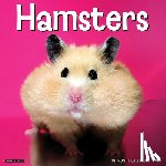 Willow Creek Press - Hamsters 2026 Wall Calendar
