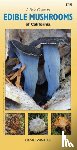 Daniel Winkler - Field Guide to Edible Mushrooms of California