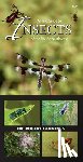 Dr. Robert Cannings - A Field Guide to Insects of the Pacific Northwest