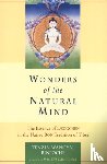 Wangyal, Tenzin - Wonders of the Natural Mind