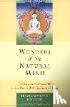 Wangyal, Tenzin - Wonders of the Natural Mind