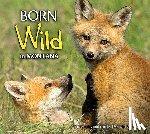Jones, Donald M. - Born Wild in Montana