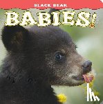 Jones, Donald M. - Black Bear Babies!