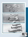 Turner Publishing - 339th Fighter Group