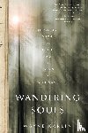 Karlin, Wayne - Wandering Souls