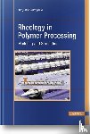 Wilczynski, Krzysztof - Rheology in Polymer Processing
