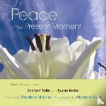Katie, Byron - Peace in the Present Moment