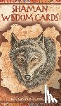 Richesson, Leita - Shaman Wisdom Cards -- Tarot Cards: 65-Card Deck