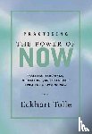 Eckhart Tolle - Practicing the Power of Now