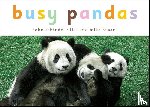 Schindel, John - Busy Pandas