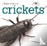 Bodden, Valerie - Crickets