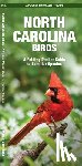 Kavanagh, James - North Carolina Birds