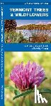 Kavanagh, James - Vermont Trees & Wildflowers