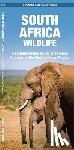 Kavanagh, James, Waterford Press - Kavanagh, J: South Africa Wildlife