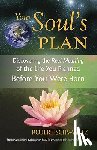 Schwartz, Robert - Your Soul's Plan